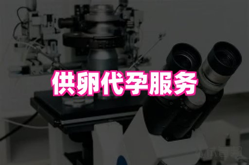 成都助孕网站 1