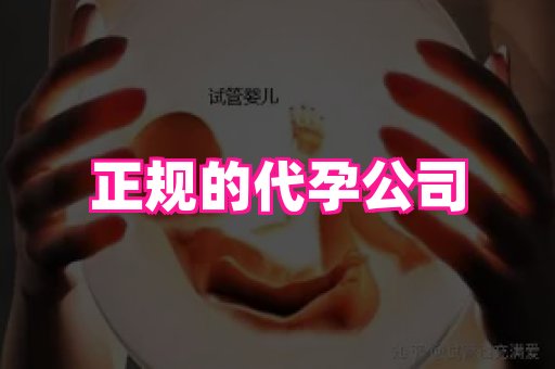 成都助孕网站 2