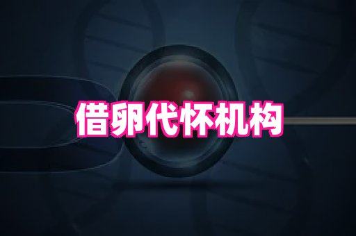 成都助孕网站 3