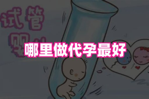 成都助孕网站 4